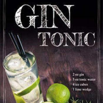 Gin Tonic – Fémtábla kép