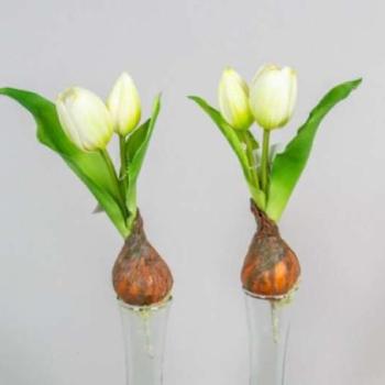 HAGYMÁS TULIPÁN GUMI -fehér 24 cm (az ár 1 db-ra vonatkozik) kép