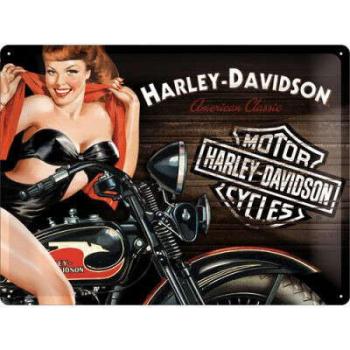 Harley Davidson Biker Babe Red Fémtábla kép