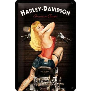 Harley Davidson Mit Pinup Fémtábla kép