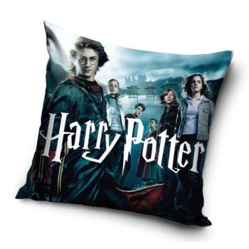 Harry Potter párnahuzat 40*40 cm kép