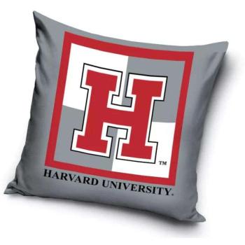 Harvard párnahuzat 40*40 cm kép