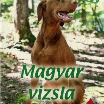 Házi kedvenceink 4. : Magyar vizsla kép