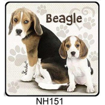 Hűtőmágnes kutyus Beagle NH151 kép