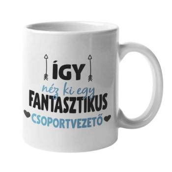 Így néz ki egy fantasztikus csoportvezető bögre kép