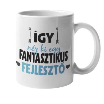 Így néz ki egy fantasztikus fejlesztő bögre kép