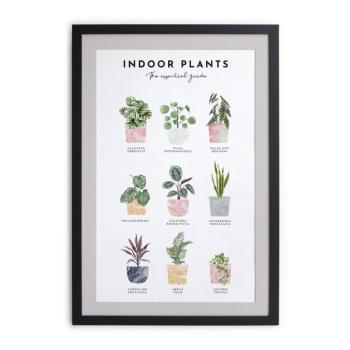 Indoor Plants keretezett fali kép, 30 x 40 cm - Really Nice Things kép