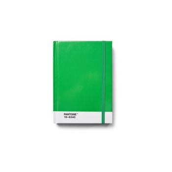 Jegyzetfüzet Green 16-6340 – Pantone kép