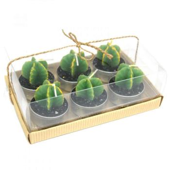 Kaktusz Gyertyák Szerzetes (6db) kép