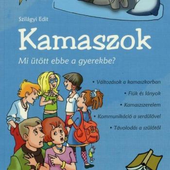 Kamaszok - Mi ütött ebbe a gyerekbe? kép