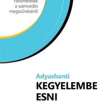 Kegyelembe esni - Felismerések a szenvedés megszűnéséről - Adyashanti kép