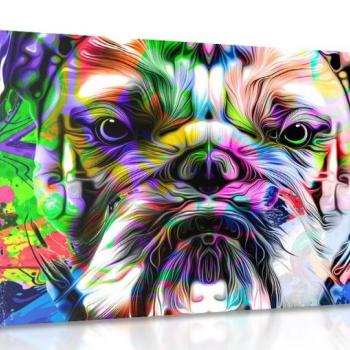 Kép pop art francia bulldog kép