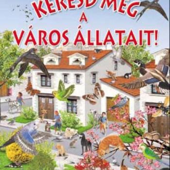 Keresd meg a város állatait! kép