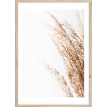 Keretezett poszter 50x70 cm Beige II – Styler kép