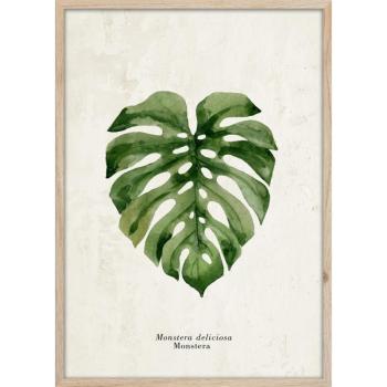 Keretezett poszter 50x70 cm Monstera – Styler kép