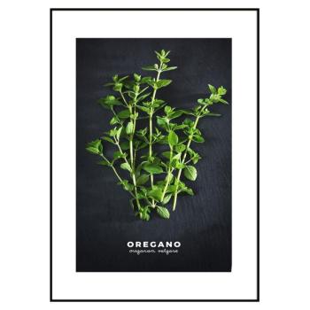 Keretezett poszter 50x70 cm Oregano – Styler kép