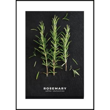 Keretezett poszter 50x70 cm Rosemary – Styler kép