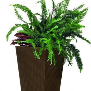 Keter Virágcserép Rattan Planter S kép