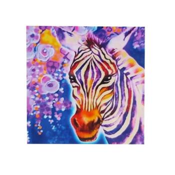 Kézműves strasszkő/gyémánt kirakó készlet sablonnal és strasszkövekkel - zebra - 20 x 20 cm (BBR) kép