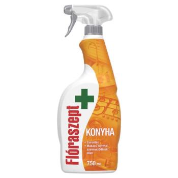 Konyhai tisztító szórófejes 750 ml konyha sleeve Flóraszept kép