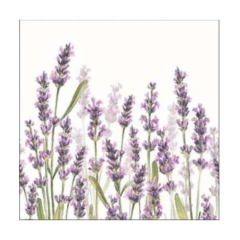 Levendulás szalvéta - Lavender Shade White kép