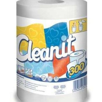 Lucart Cleanit 300 univerzális törlőkendő, tekercses fehér (852347) kép