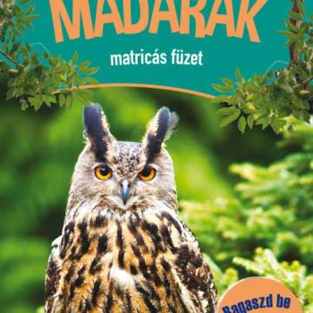 Madarak matricás füzet - Ragaszd be a matricákat! kép