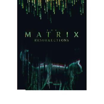 Matrix poszter kép