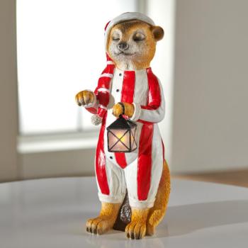 Meerkat man kép