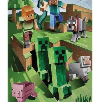 Minecraft polár takaró játék 100x150cm kép