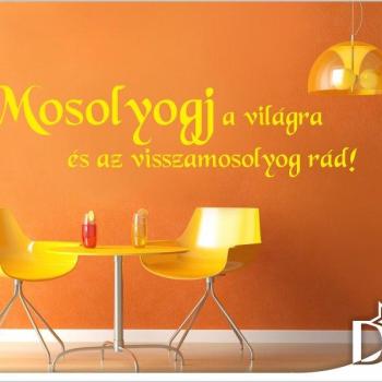 MOSOLYOGJ falmatrica 23. kép