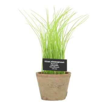 Műnövény (magasság 27 cm) Chives – Esschert Design kép