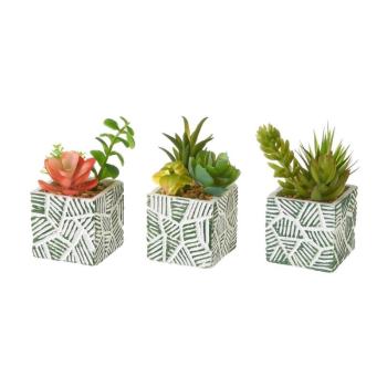 Műnövény szett 3 db-os (magasság 12 cm) Cactus – Casa Selección kép