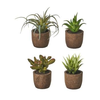 Műnövény szett 4 db-os (magasság 10 cm) Cactus – Casa Selección kép