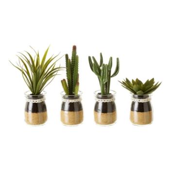 Műnövény szett 4 db-os (magasság 18 cm) Cactus – Casa Selección kép