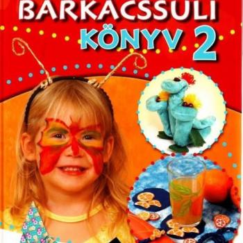 Nagy barkácssuli könyv 2 kép