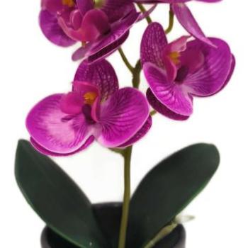 Orchidea művirág cserepes 28cm kép