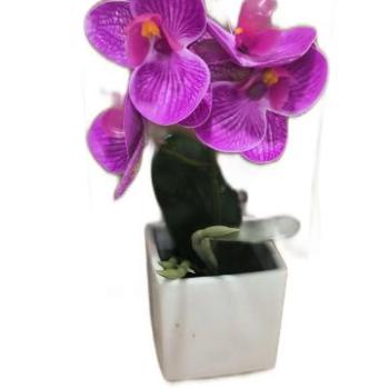 Orchidea művirág kaspós 20cm kép