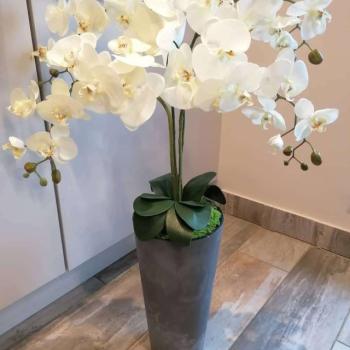 Padlóvázás élethű orchidea antracit színű vázával kép