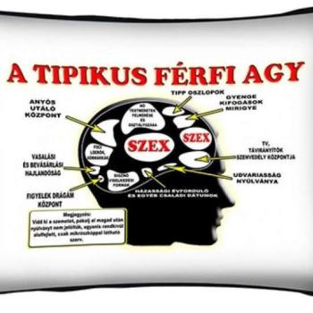 Párna 37cm, Tipikus férfi agy New P029 kép