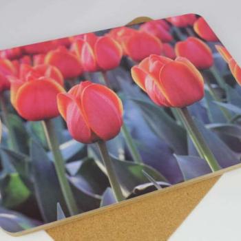 Piros tulipános tálcák 6db kép