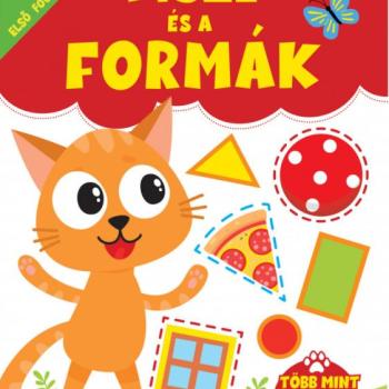 Pisze és a formák - Első foglalkoztatóm kép