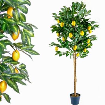 PLANTASIA Műnövény Citromfa 184 cm kép