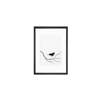 Poszter 24x29 cm Bird on the Branch – Tablo Center kép