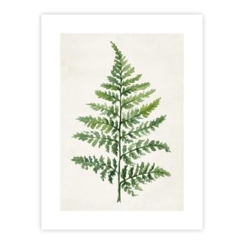 Poszter 40x50 cm Fern kép