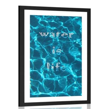 Poszter paszportuval  idézettel  - Water is life kép