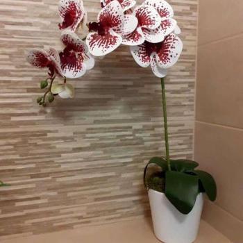 Prémium Orchidea Művirág 1 szálas kaspóban 65cm - fehér-rózsaszín kép