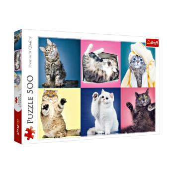 Puzzle 500 darab Macskák kép