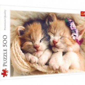 Puzzle Alvó cicák 500 db  48 x 34 cm dobozban kép