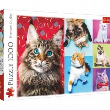 Puzzle Boldog macskák 100 db kép